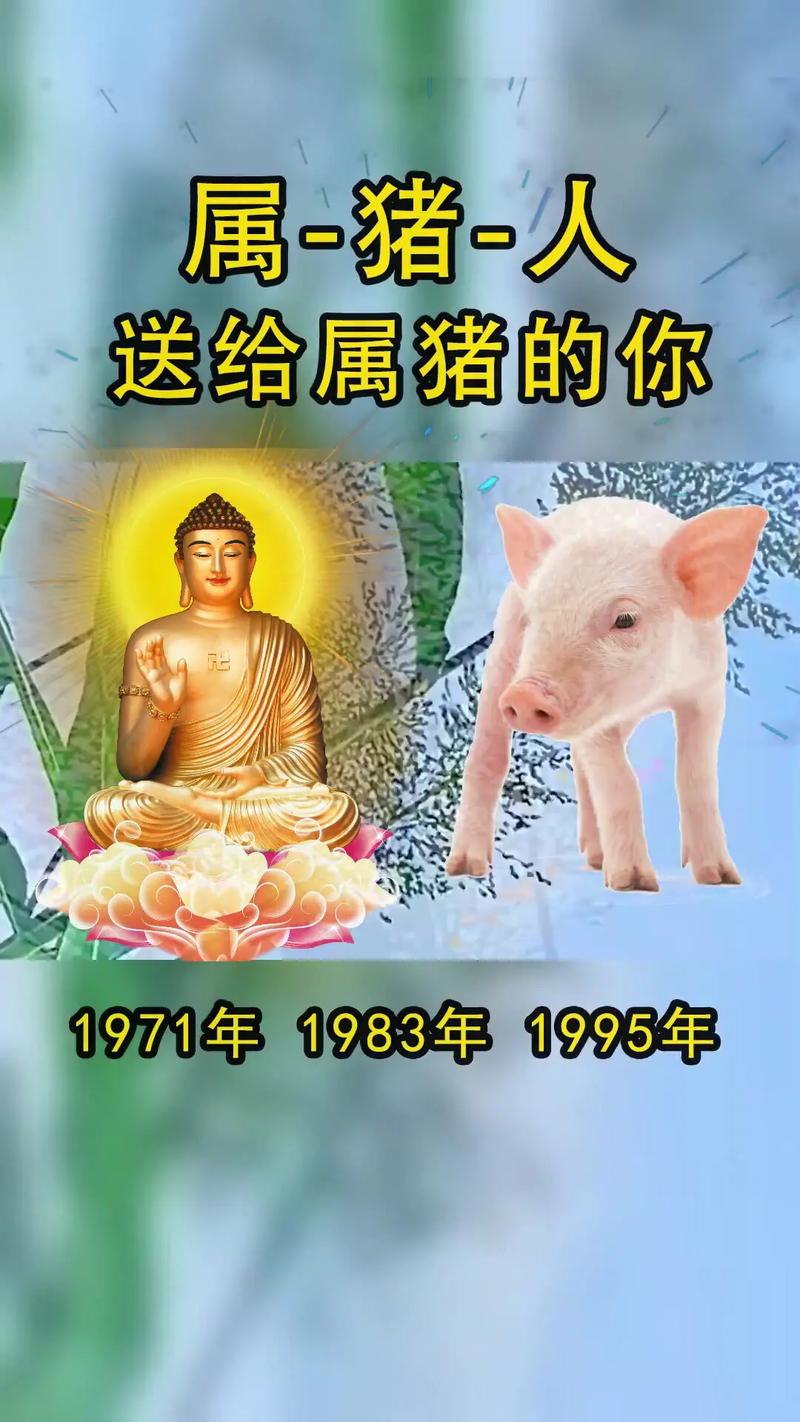 生肖猪祝福语大全