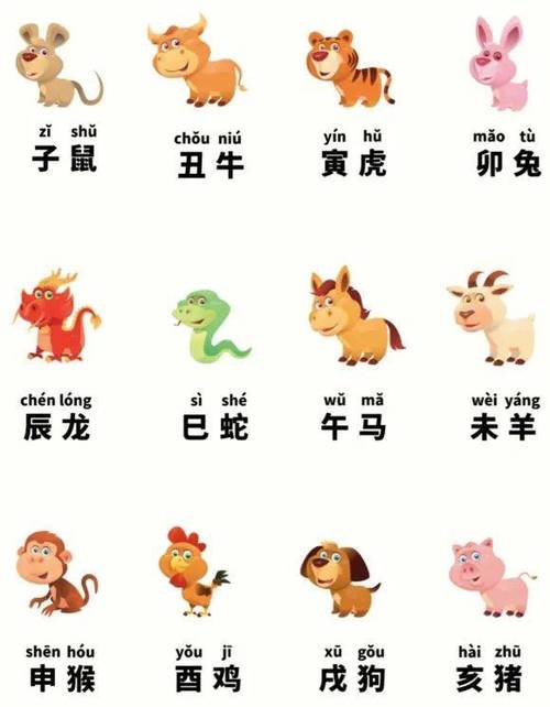稳重又内敛的生肖分别都是那些人