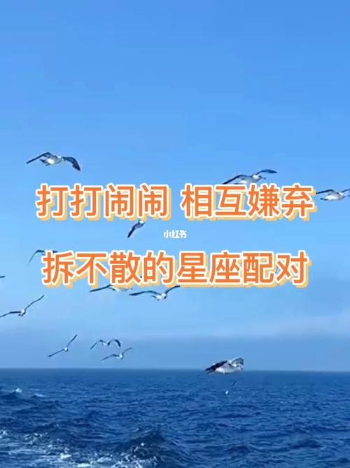 怎么都拆不散的星座情侣