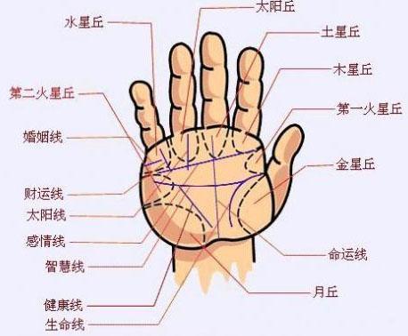 手相面相看中晚年事业运