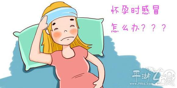 生病时总是会怀疑医生医术的星座