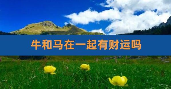 属牛属马在一起生财