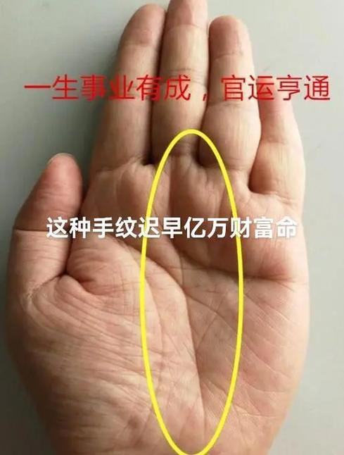 六个富翁的手相特征,占三个的人至少小康