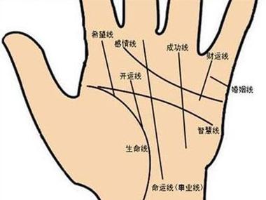 从手相上看你会换几个工作