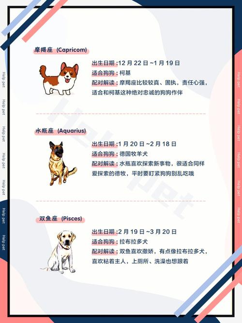 这些犬种是这几个星座最好的朋友