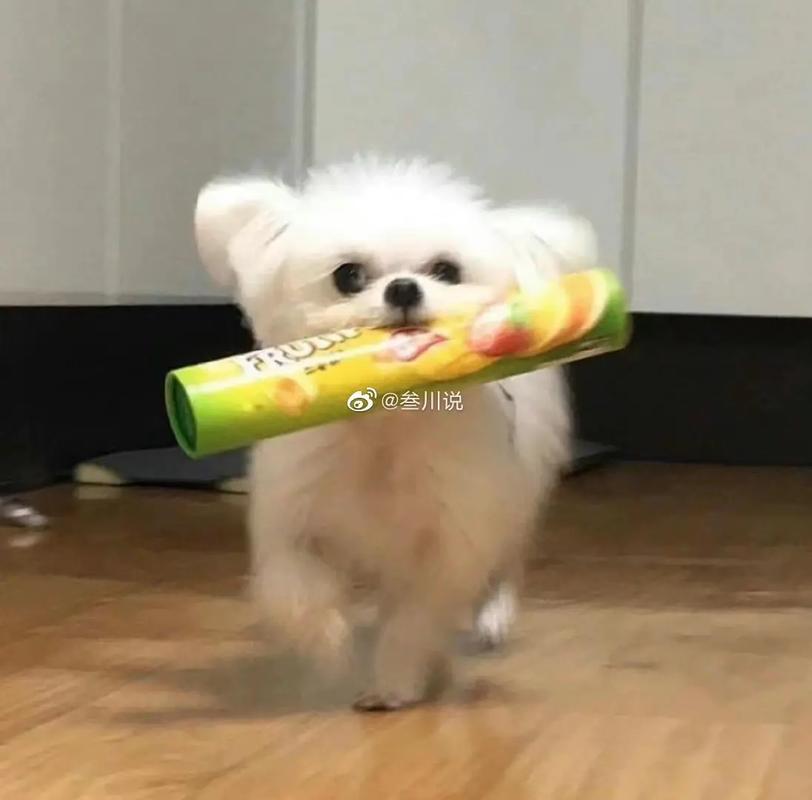 最不适合当男友的生肖男