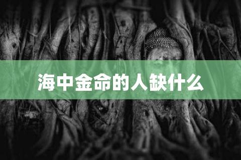 什么是海中金命人