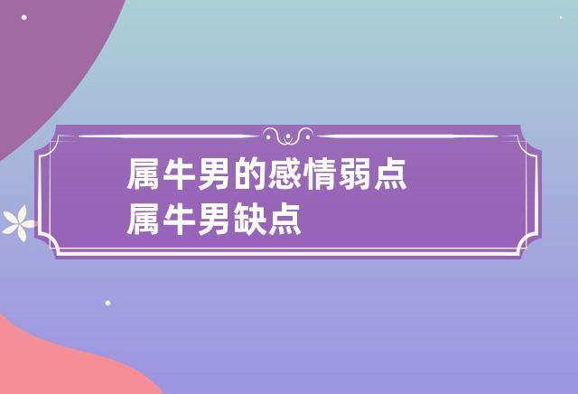 属牛的男人感情弱点