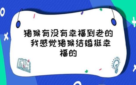 猪猴结婚有幸福的吗