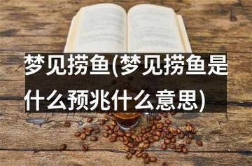 梦见抓到鱼是什么意思