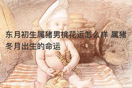 95属猪男2021年桃花运怎么样
