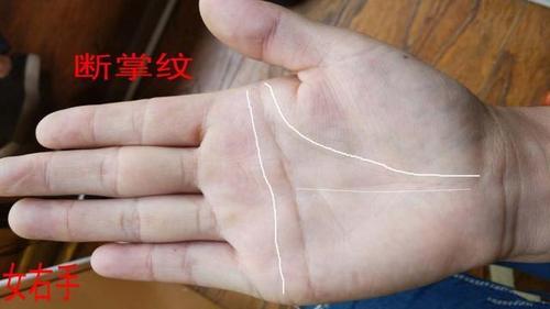 事业有成男人手相