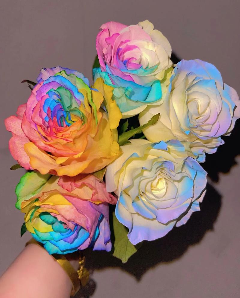 玫瑰花语:彩虹玫瑰的花语是什么?