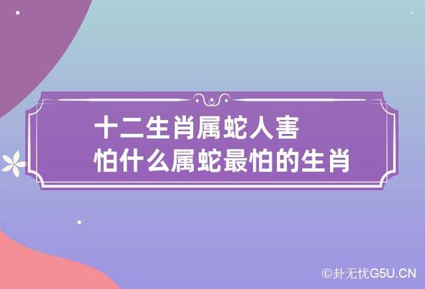 什么属相能让属蛇人无可奈何