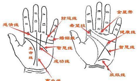 四海为家的手相