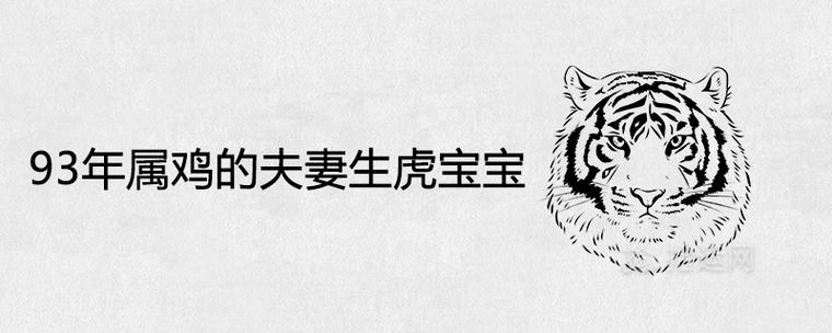 93年属鸡的夫妻生虎宝宝