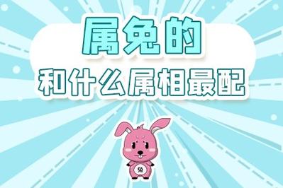 属兔和什么属相合财