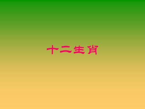 五光十色是什么生肖