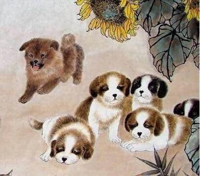 哪个生肖重情义