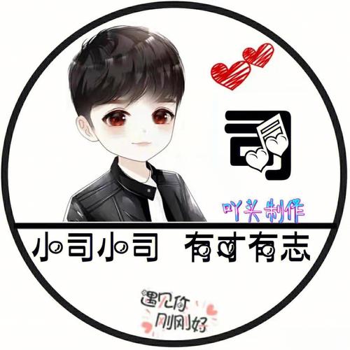 司姓男宝宝名字大全
