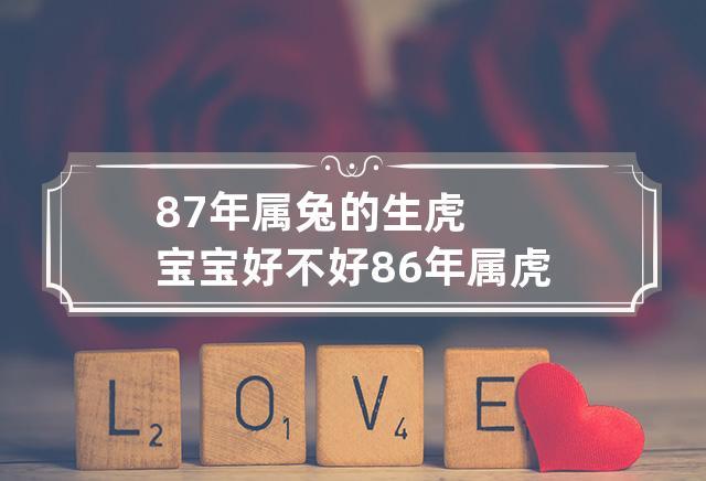 87年兔妈妈生虎宝宝好不好