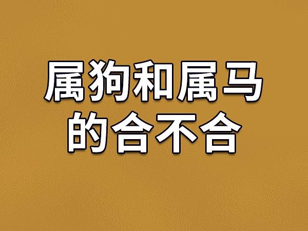 属狗男的性格和脾气