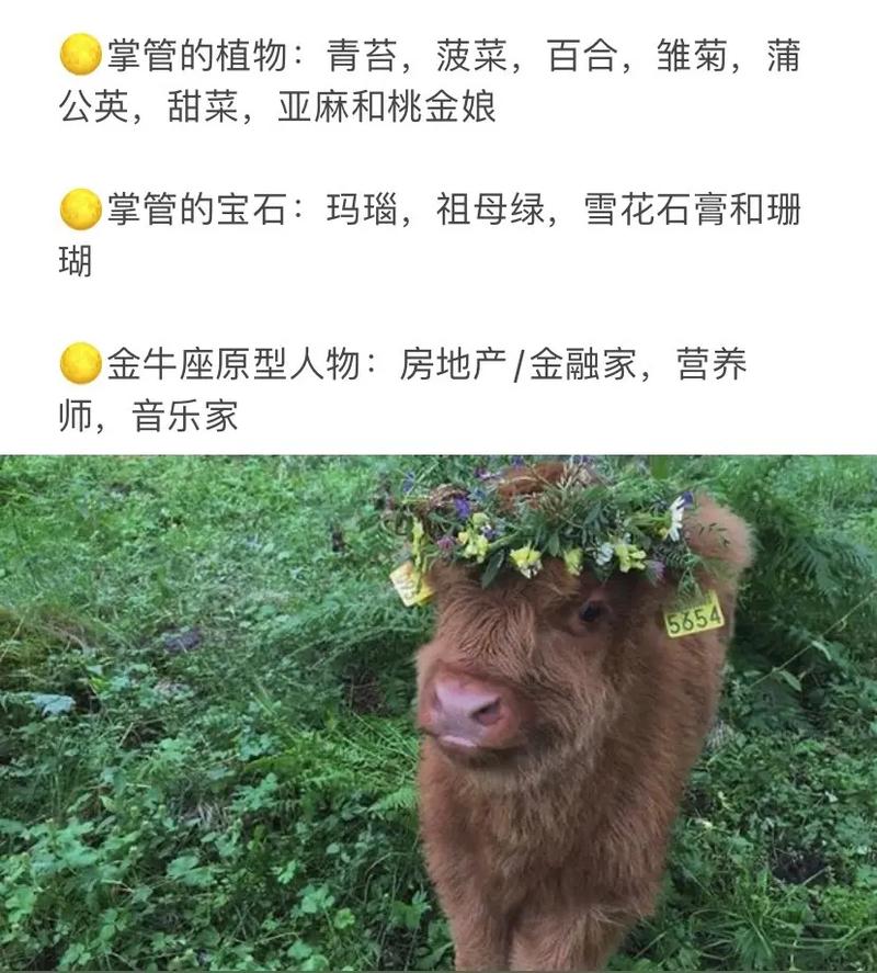 最适合金牛座的英文歌