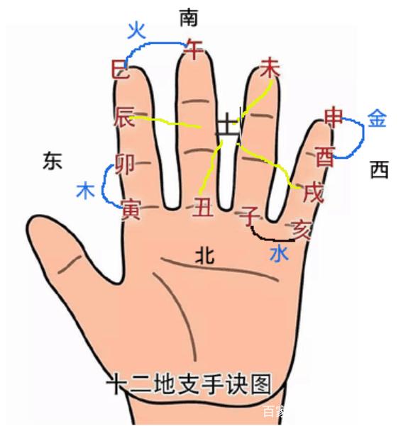 八字时辰预测:八字的根苗花实理论