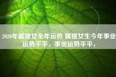 2020年生肖猪女运势