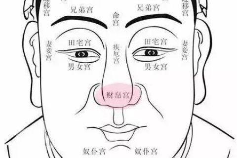女命比肩格是什么意思,命好不好?