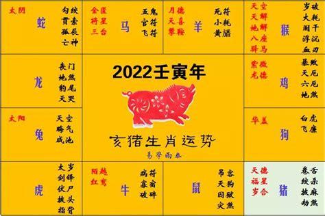 生肖猪2021年整年及每月运程运势完整分析
