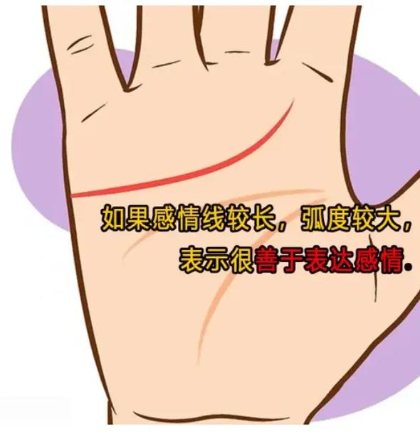 感情线手相看你另一半