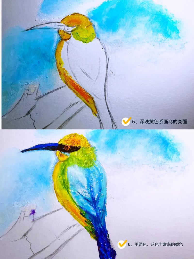 梦见看到七彩鸟