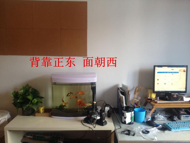 办公室的电脑怎么摆放的风水好?可以摆放在鱼缸旁边吗?