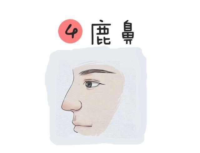 鹿鼻的面相好吗