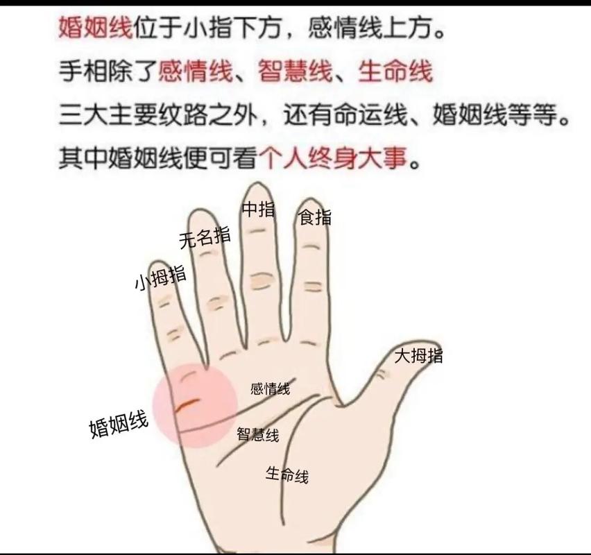 每一个人的感情婚姻是不是命中已经注定好的?