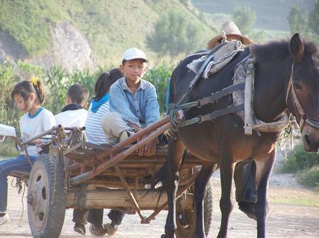 梦见坐毛驴车是什么意思