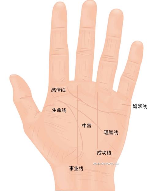 男人的手相图解