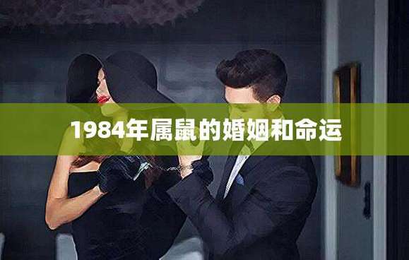 1984年鼠人2020年感情与婚姻