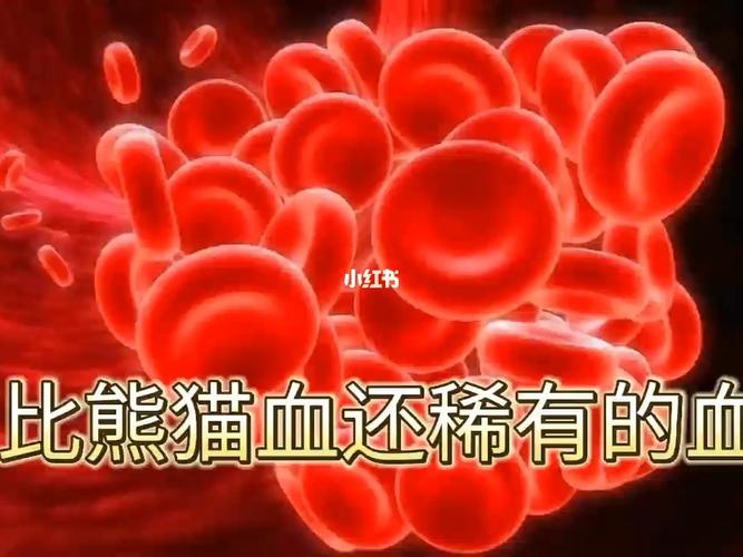 什么血型生出来熊猫血