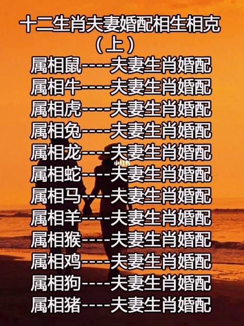 俩人合不合适的生辰八字