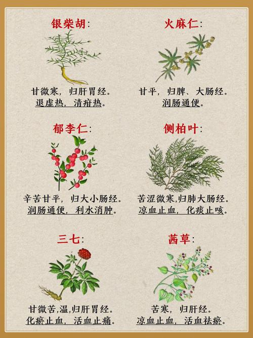 好听的中草药名字
