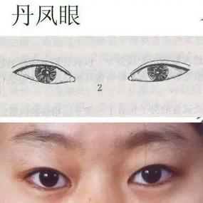面相解析丹凤眼的女人一生运势
