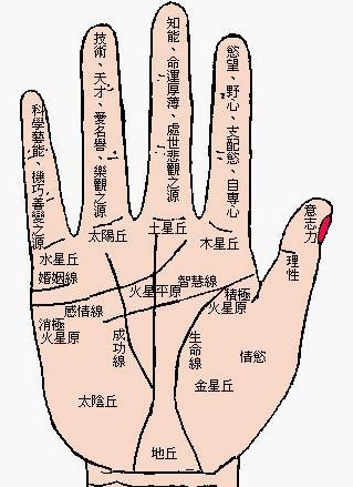 有四直纹的人命运如何