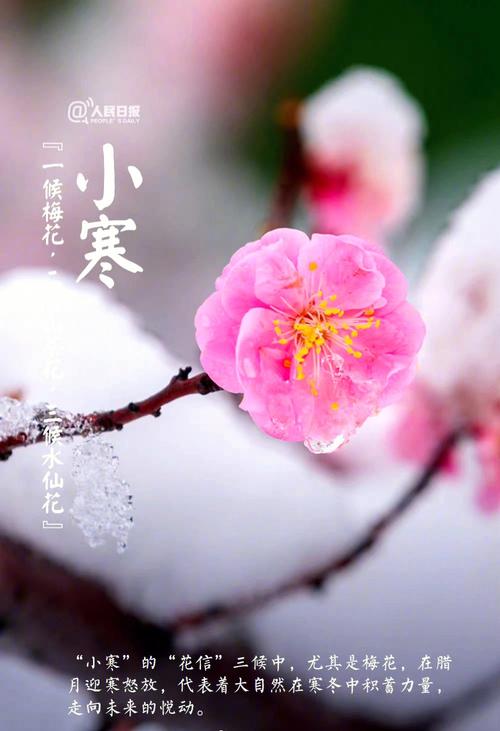 小寒生孩子好吗