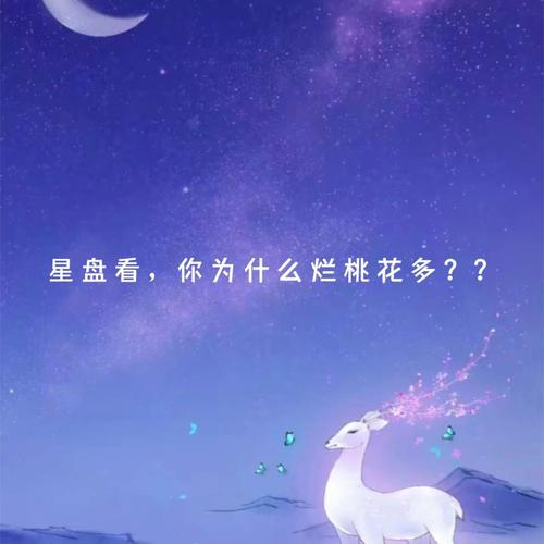 烂桃花多是上辈子的债