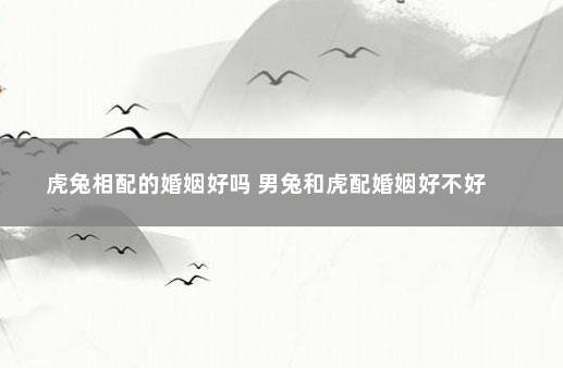 虎兔相配的婚姻好吗