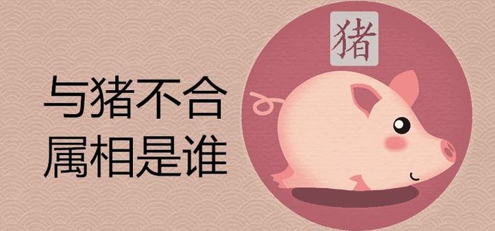 生肖猪与什么属相不合