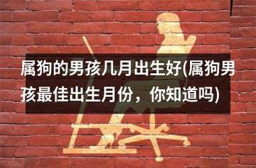 属狗的几月出生最好命男孩子