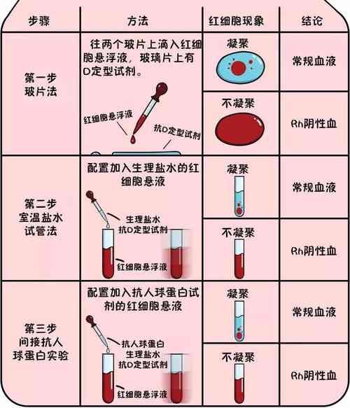 血型怎么鉴定